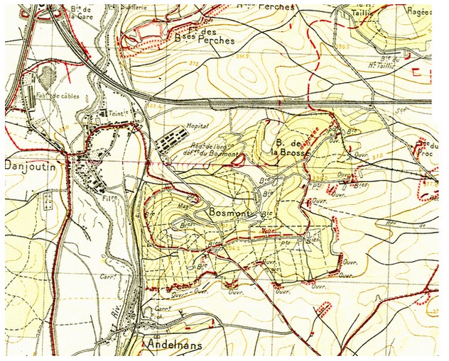 Réseau Stratégique au Bosmont 1914-1918